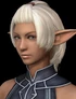 FElvaanFace 5