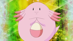 Brock Chansey