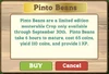 Pinto beans