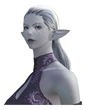 ElezenDuskwight f bust