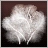 Feathers