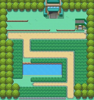Route 6