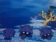 EP216 Shellder