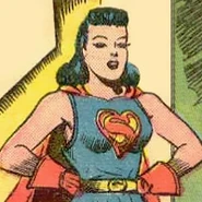 S-shield loislane