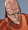 Am-Ris.jpg
