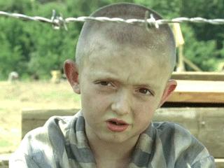 The Boy in the Striped Pyjamas Essay Samples