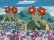EP182 Bellossom