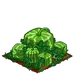Square Melon extra100