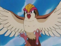 EP133 Pidgeot (5)