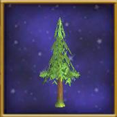 Small Birch Tree