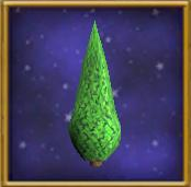 Small Fir Tree