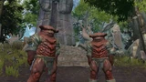Flesh Raider