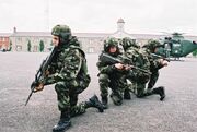 IrishArmy56