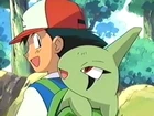 Larvitar de Ash