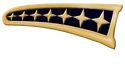 TngS1 radmlh