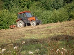Ursus 3514