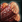 Asvata Log