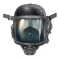 Huge item DomesticDefense 01.gif