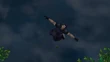 Zack flies