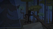 DuncanSightingInForest