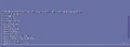 Developer console.png