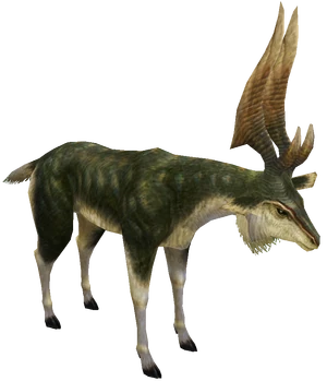 Male-Kelbi2