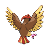 Pidgeotto espalda G5