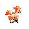 Ponyta espalda G5