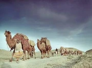 Nomads