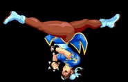 Chun-spinbirdkick