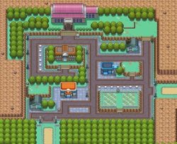 Pewter City HGSS