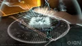 Tron-evolution-20100520103728155 640w.jpg