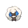 Whimsicott NB variocolor