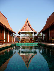 1 A photo of Green Gecko Thailand