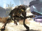 ReachRedShell