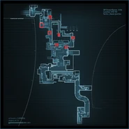 Sewer Swarm Eggs