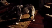 WereShifting