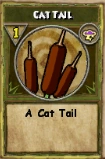 Cat Tail
