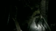 Cellar2