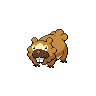 Bidoof NB hembra