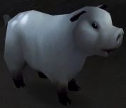 Image of Warsong Swine