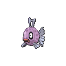 Feebas NB variocolor