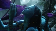 Neytiri 20 HD