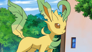 Zoey Leafeon.png