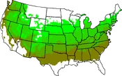 USA Hardiness 6 to 9