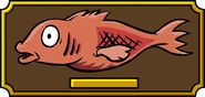 Mullet Fish