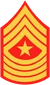 SgtMaj