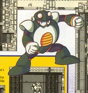 ToadManNP