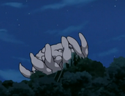 Rokubi2