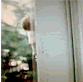 Edgif